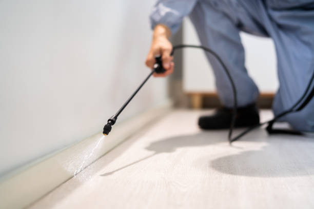 Bed Bug Pre-Treatment Preparation Assessment in Ensley