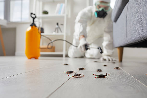 Post-Treatment Bed Bug Interceptor Monitoring in Ensley