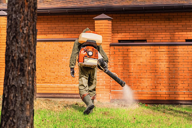 Bed Bug Clearance Verification and Documentation in Ensley